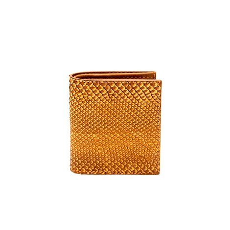 PYTHON WALLET