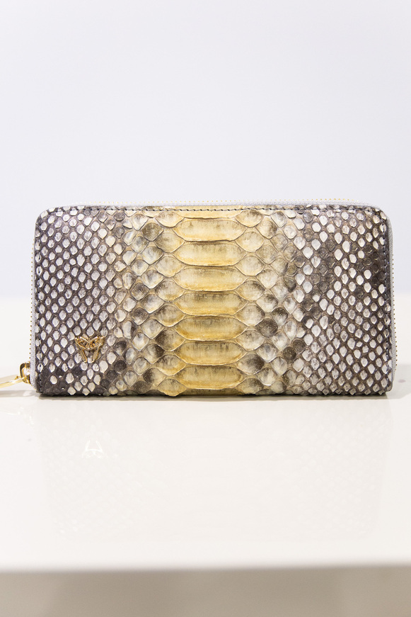 PYTHON WALLET